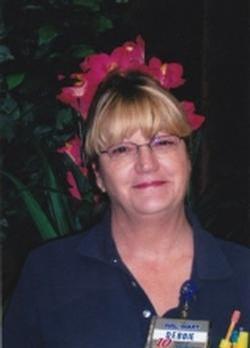 debra collins