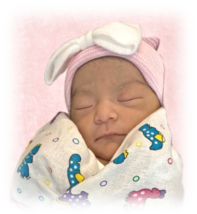 ana cecilio