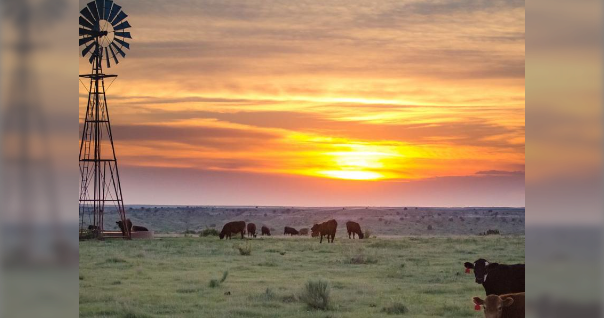 Curtis Wilson Martin - Reeder-Davis Funeral Home